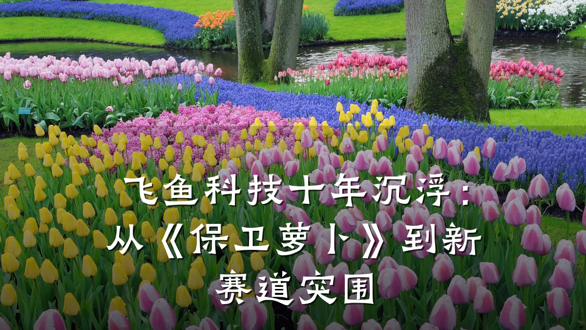 飞鱼科技十年沉浮:从《保卫萝卜》到新赛道突围