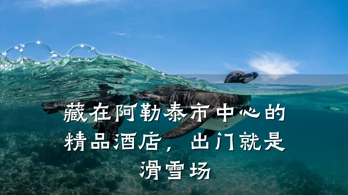 藏在阿勒泰市中心的精品酒店，出门就是滑雪场