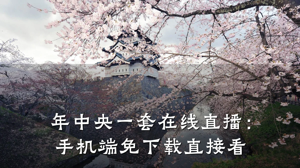 年中央一套在线直播:手机端免下载直接看