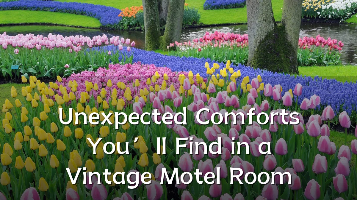 Unexpected Comforts You’ll Find in a Vintage Motel Room