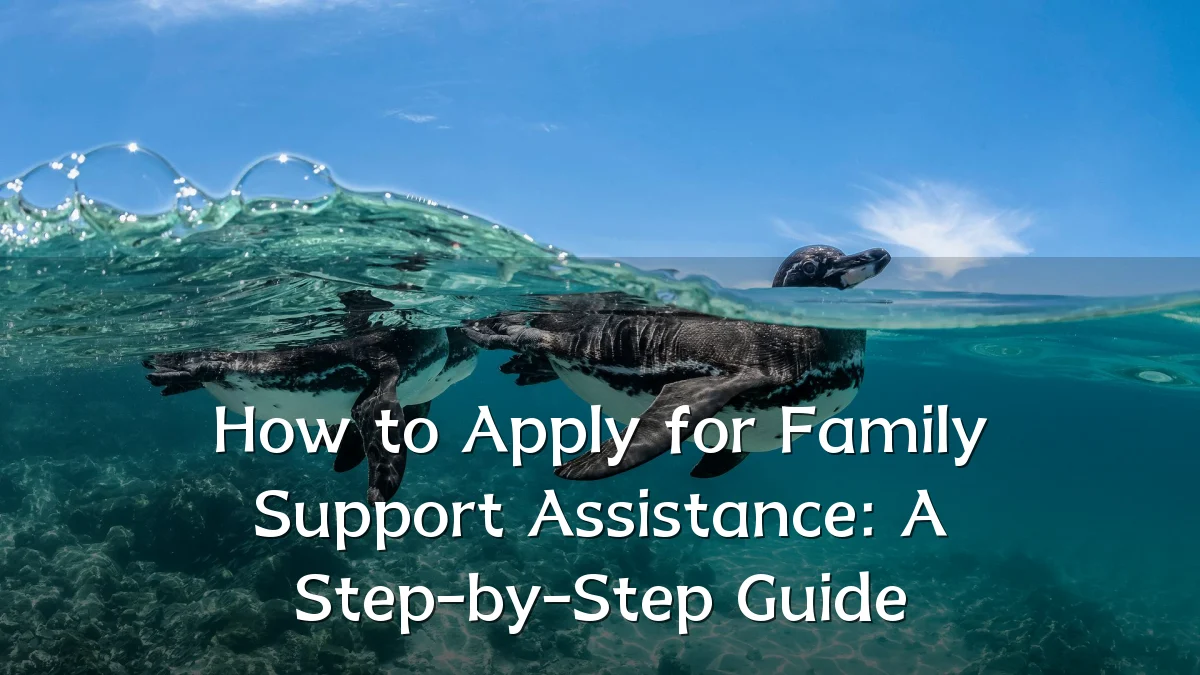 How to Apply for Family Support Assistance: A Step-by-Step Guide