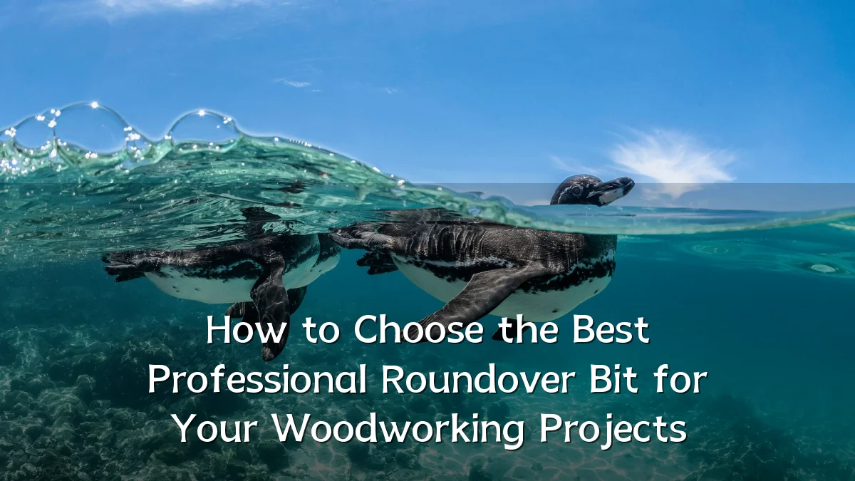 How to Choose the Best Professional Roundover Bit for Your Woodworking Projects