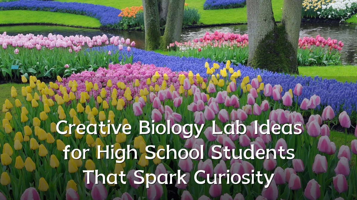 Creative Biology Lab Ideas for High School Students That Spark Curiosity