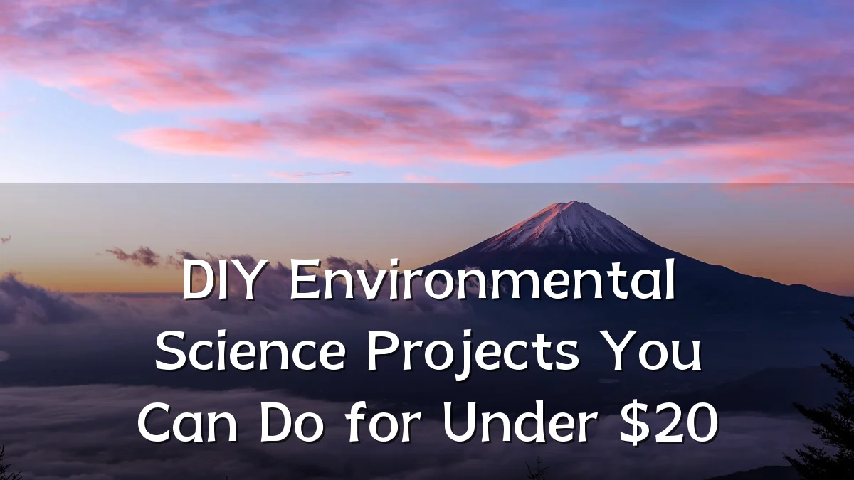 DIY Environmental Science Projects You Can Do for Under $20
