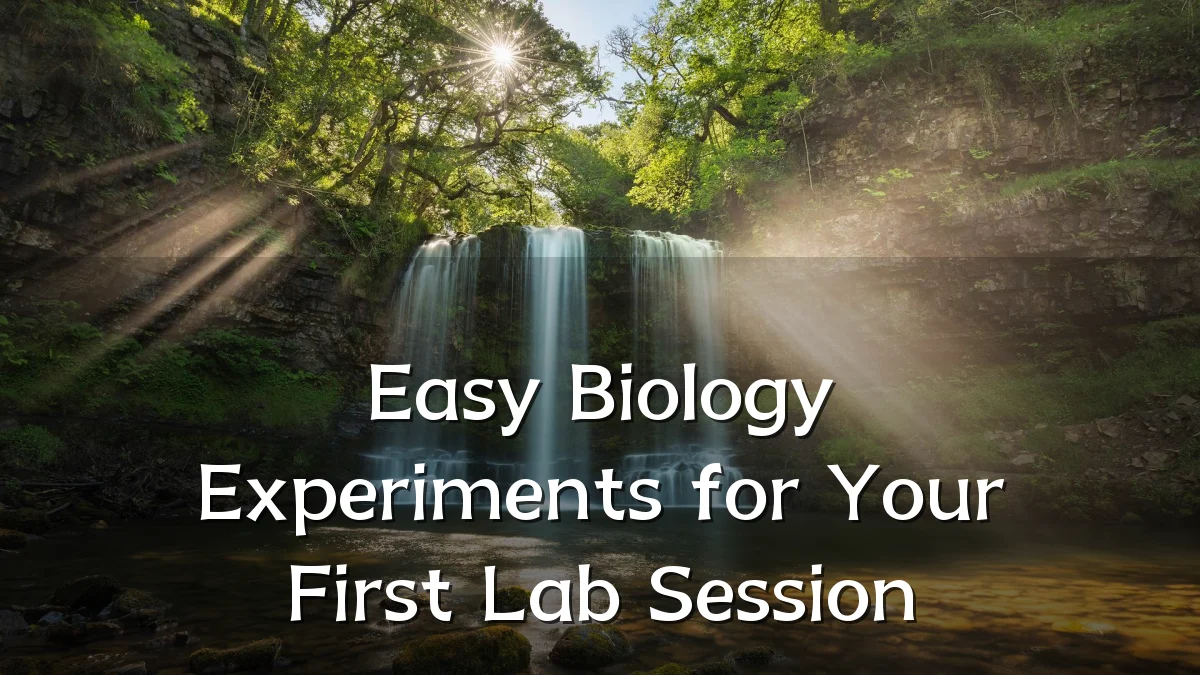 Easy Biology Experiments for Your First Lab Session