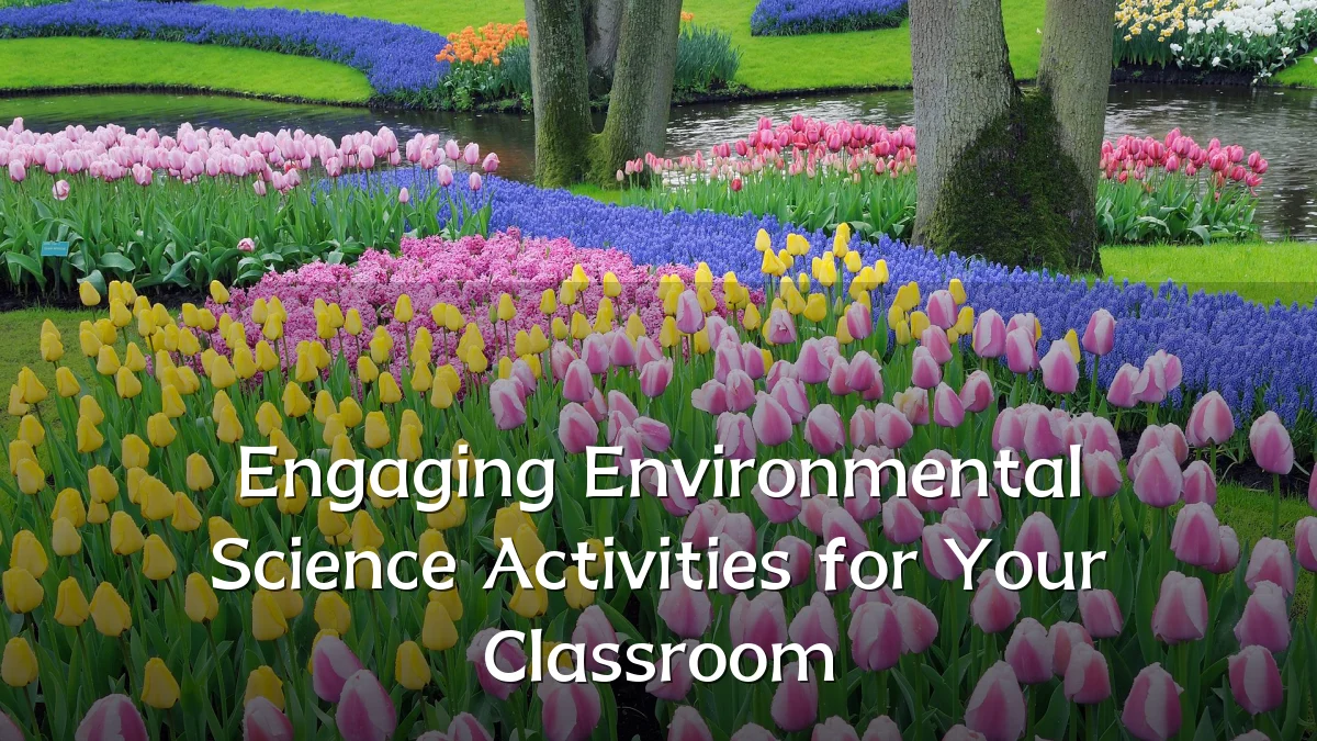 Engaging Environmental Science Activities for Your Classroom