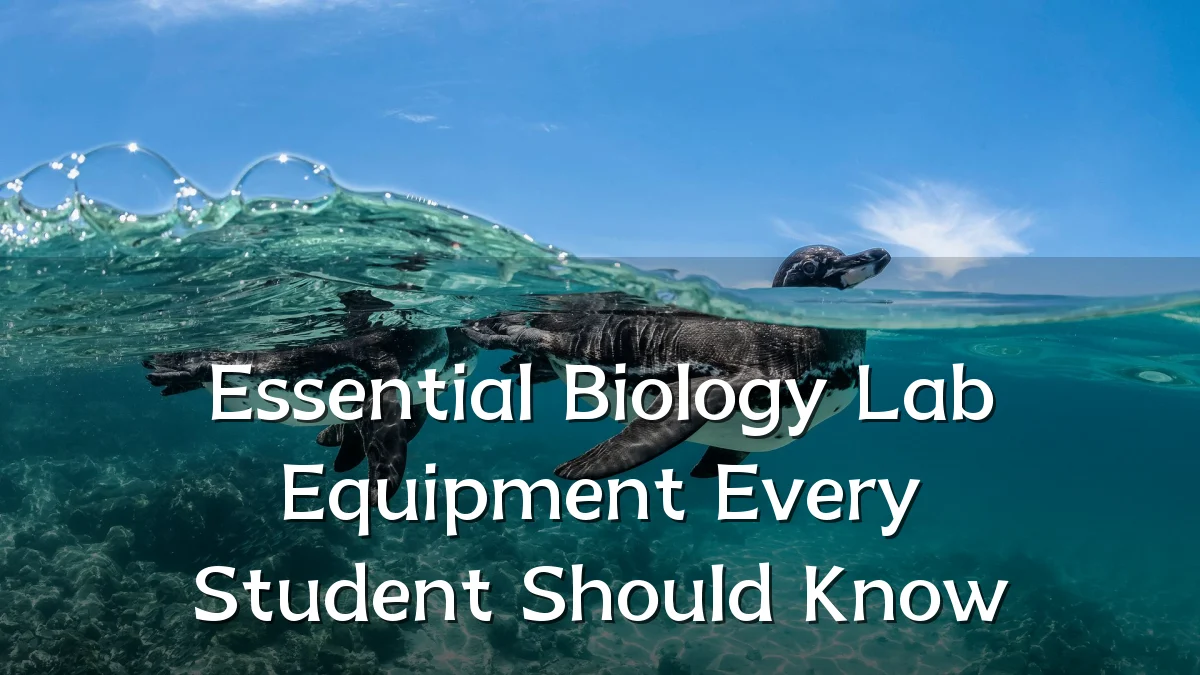 Essential Biology Lab Equipment Every Student Should Know