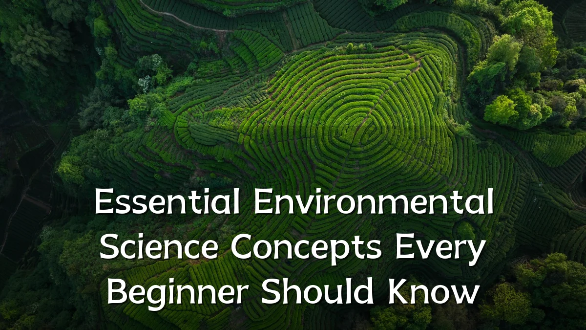 Essential Environmental Science Concepts Every Beginner Should Know