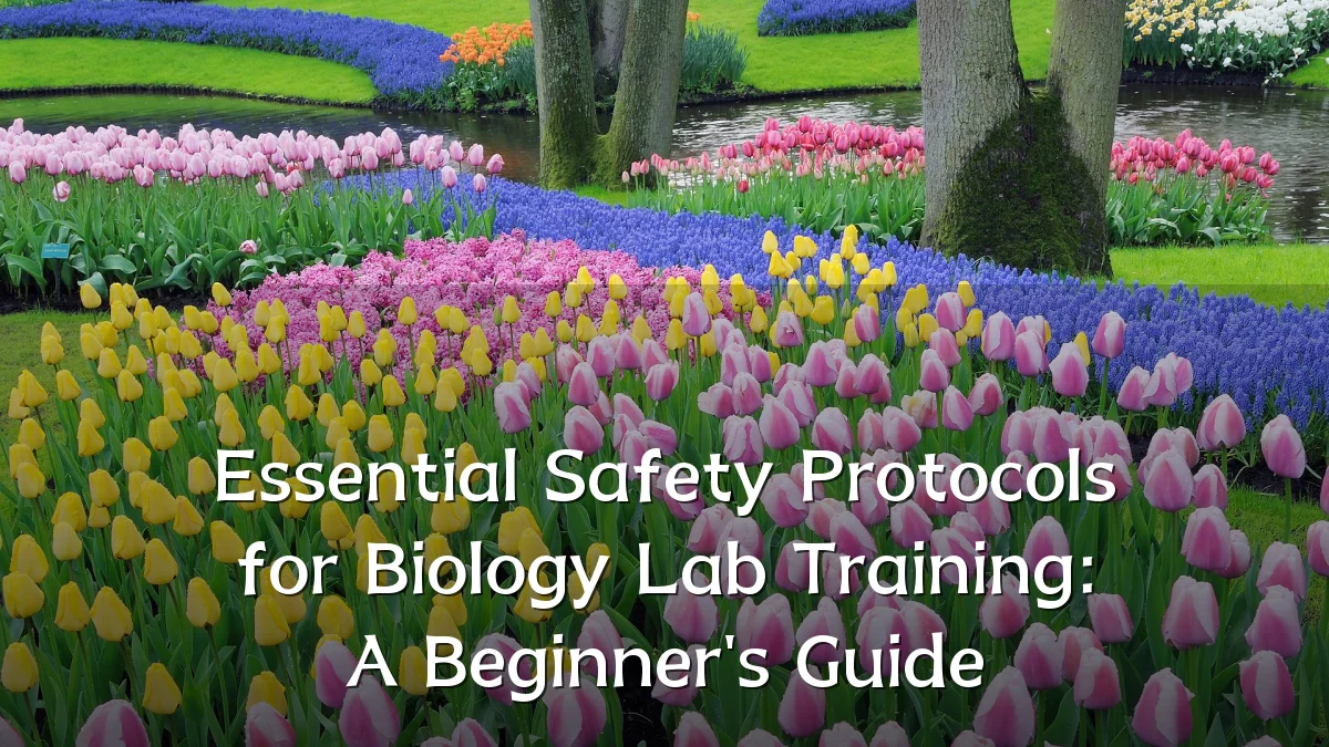 Essential Safety Protocols for Biology Lab Training: A Beginner's Guide