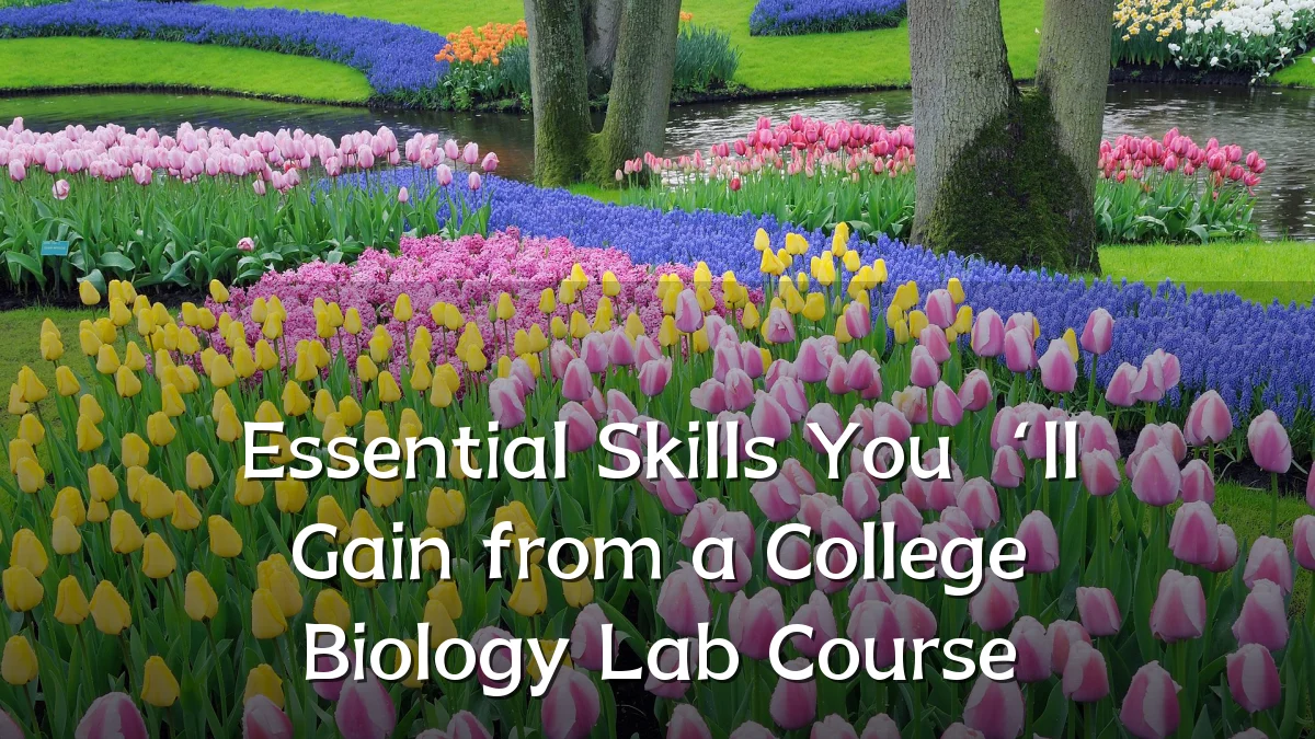 Essential Skills You‘ll Gain from a College Biology Lab Course