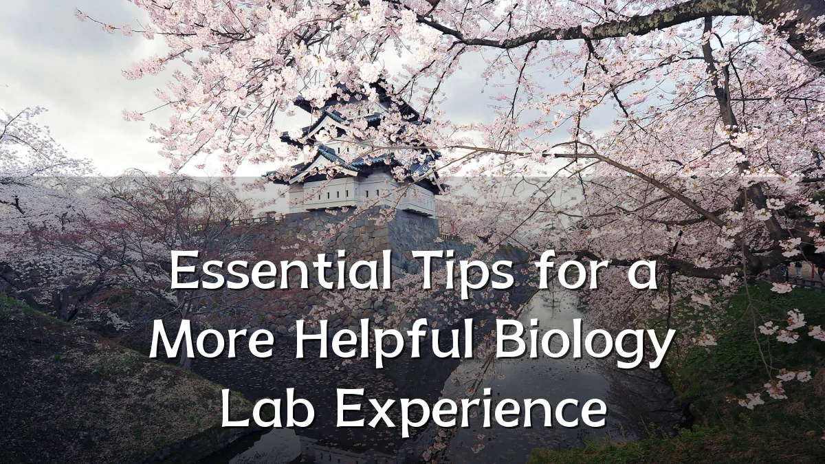 Essential Tips for a More Helpful Biology Lab Experience