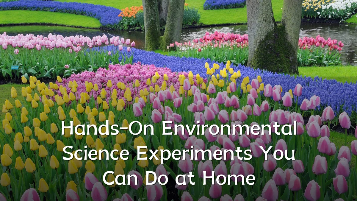 Hands-On Environmental Science Experiments You Can Do at Home