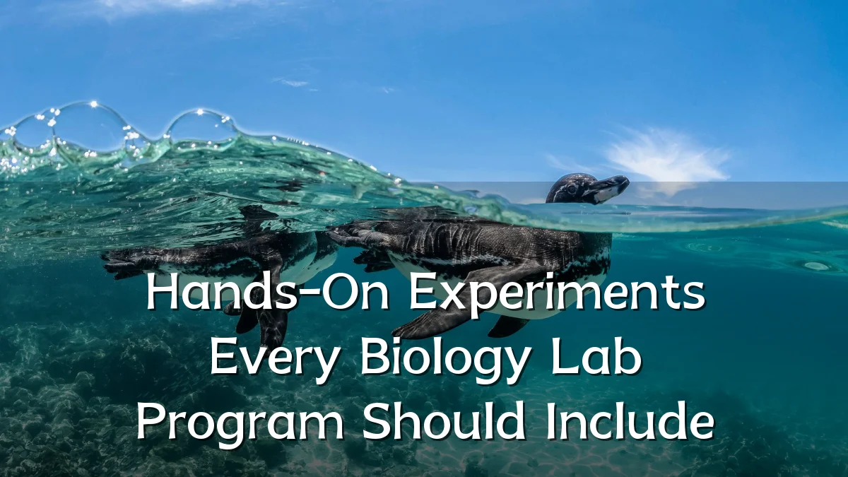Hands-On Experiments Every Biology Lab Program Should Include
