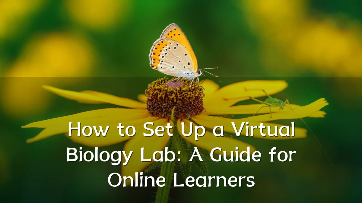 How to Set Up a Virtual Biology Lab: A Guide for Online Learners