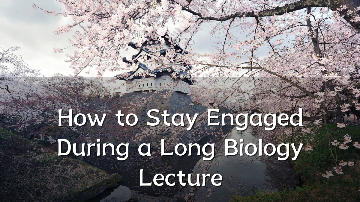 How to Stay Engaged During a Long Biology Lecture