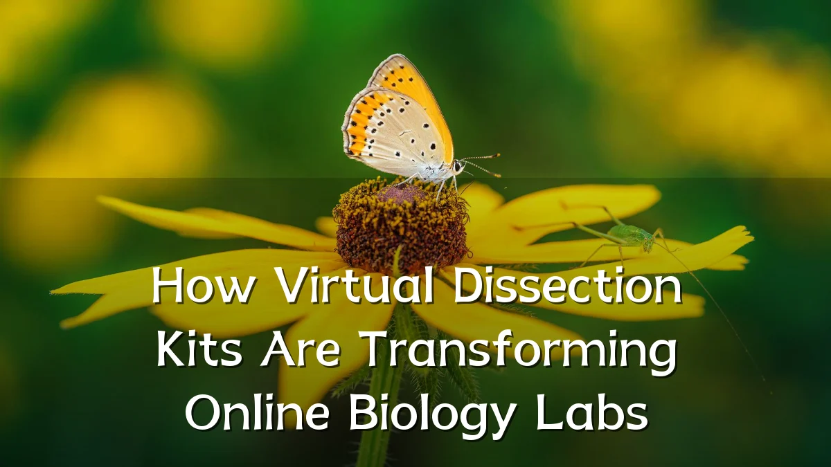 How Virtual Dissection Kits Are Transforming Online Biology Labs