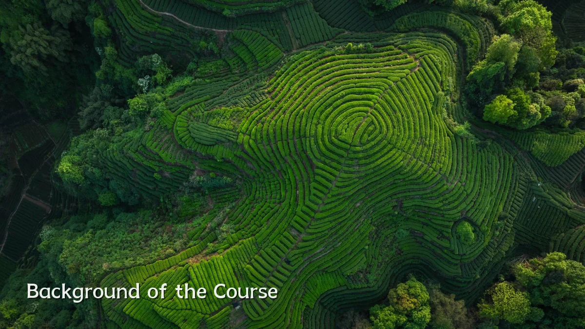 Background of the Course