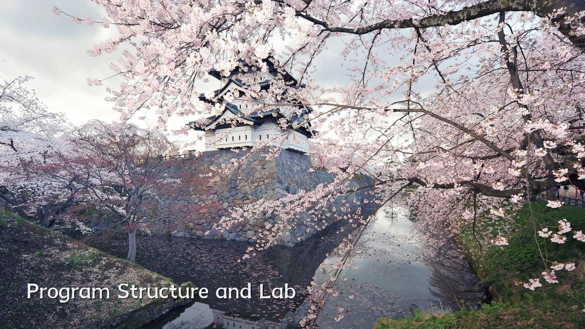 Program Structure and Lab