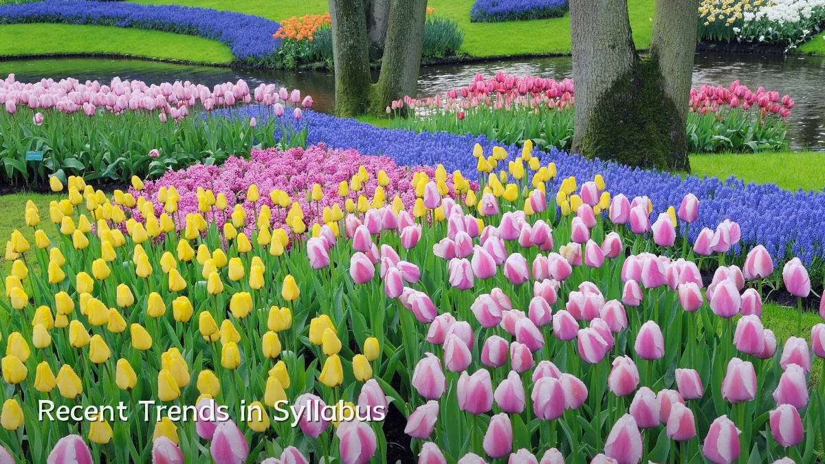 Recent Trends in Syllabus
