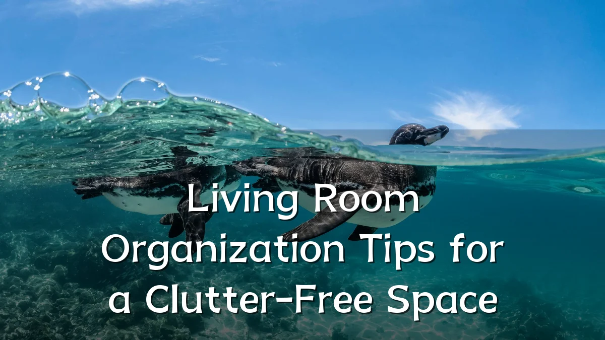 Living Room Organization Tips for a Clutter-Free Space