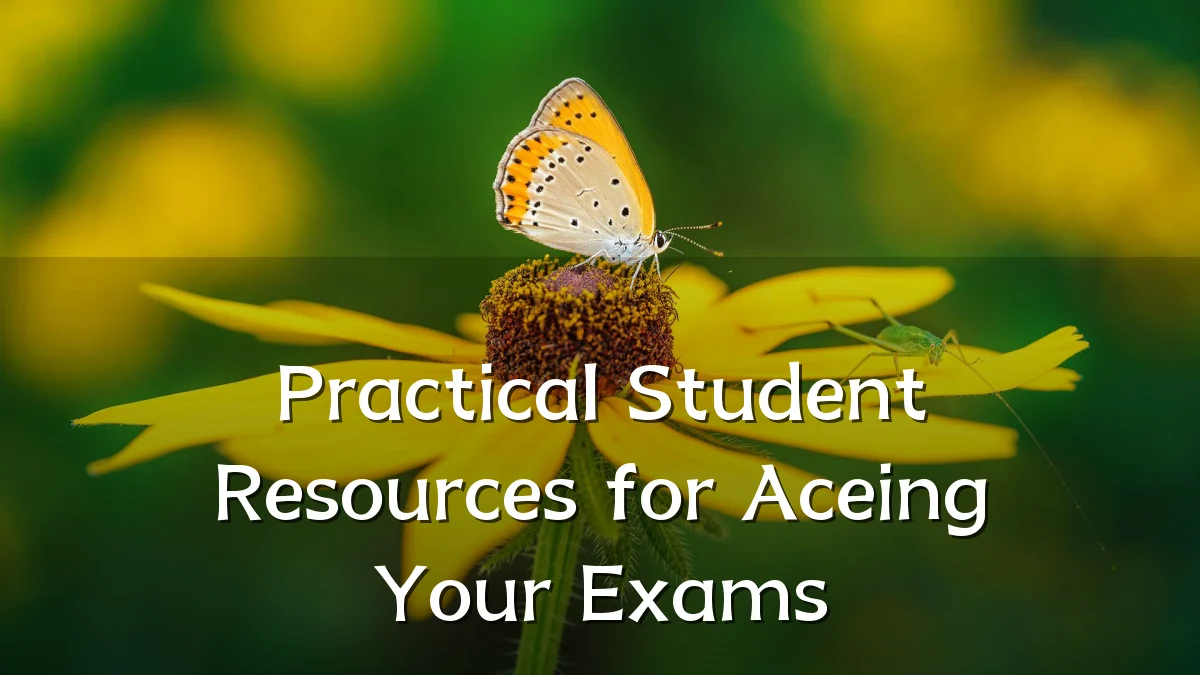 Practical Student Resources for Aceing Your Exams