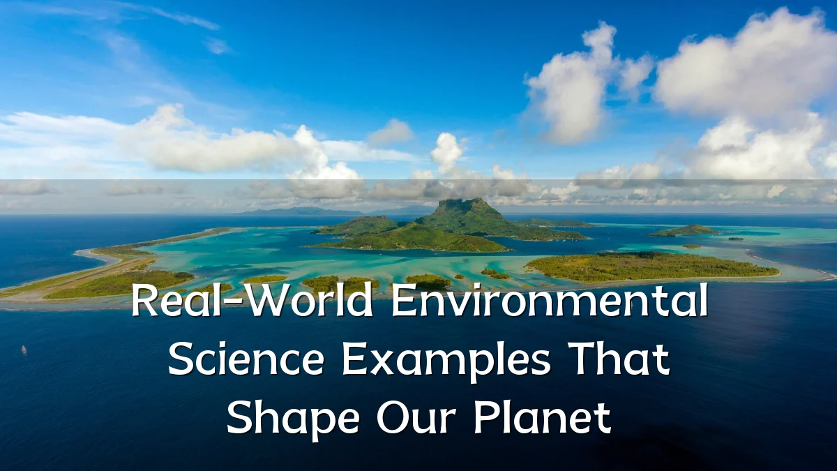 Real-World Environmental Science Examples That Shape Our Planet