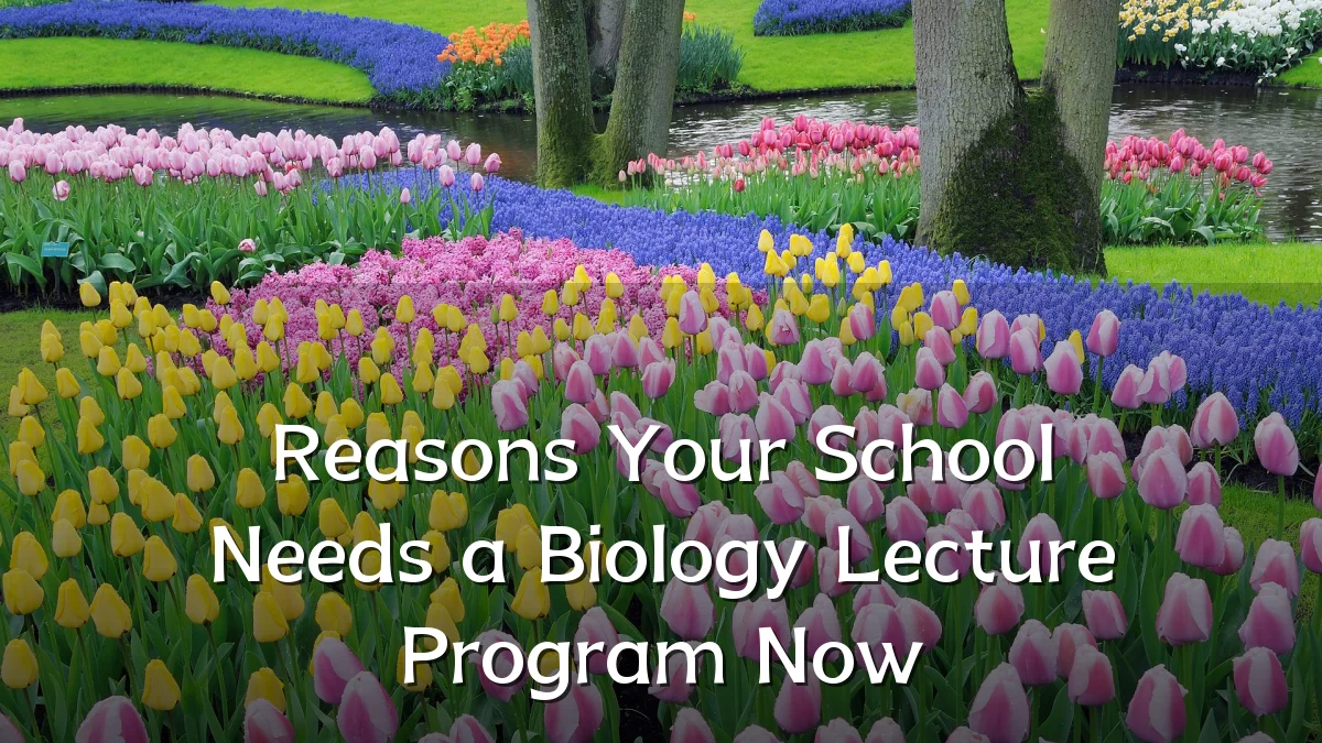 Reasons Your School Needs a Biology Lecture Program Now