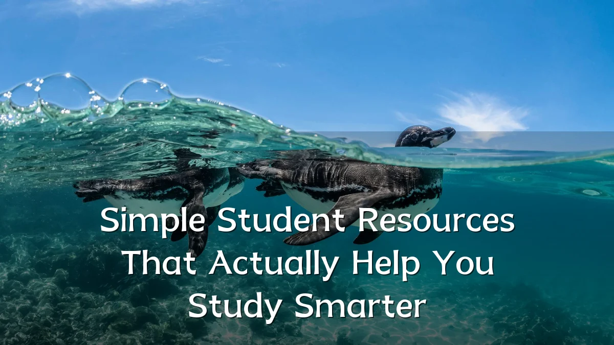 Simple Student Resources That Actually Help You Study Smarter