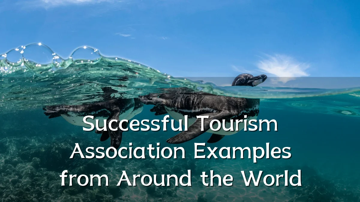 Successful Tourism Association Examples from Around the World