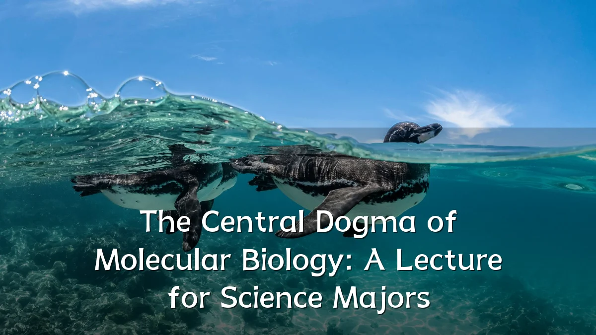 The Central Dogma of Molecular Biology: A Lecture for Science Majors