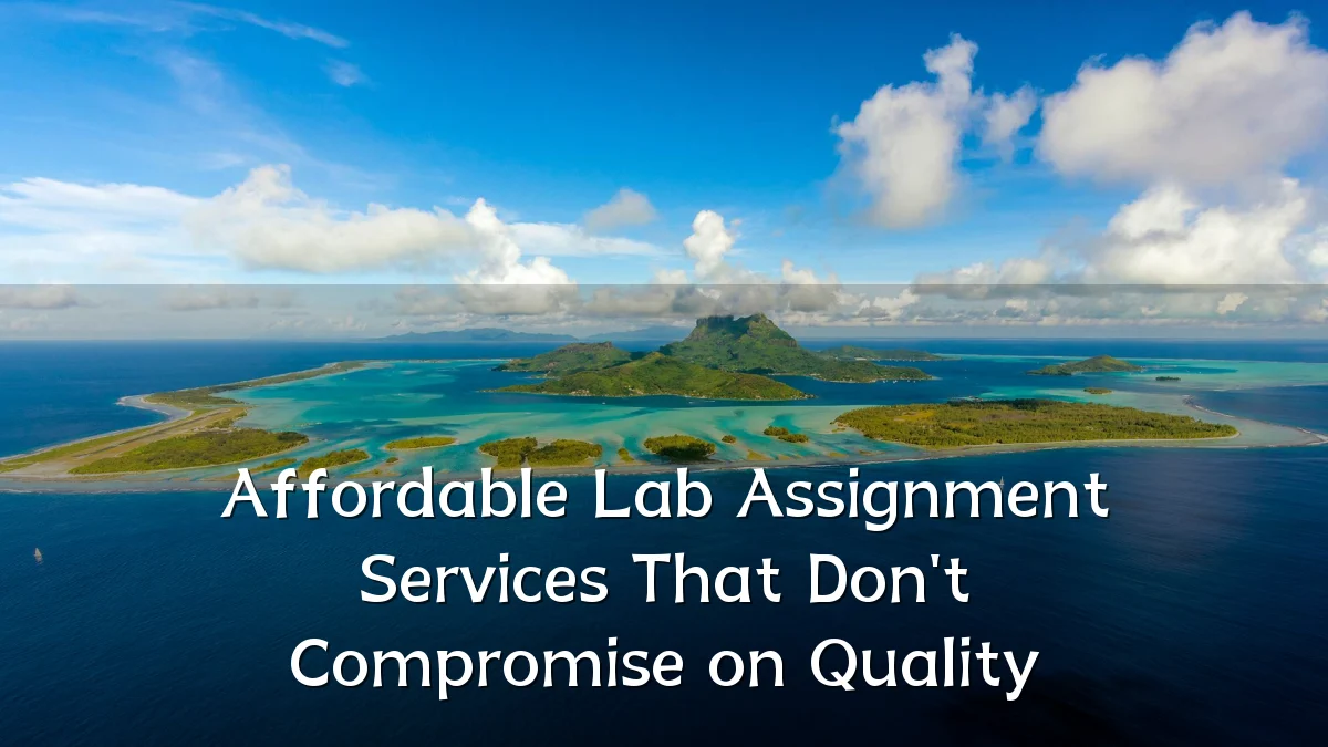 Affordable Lab Assignment Services That Don't Compromise on Quality
