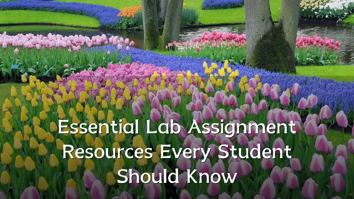 Essential Lab Assignment Resources Every Student Should Know