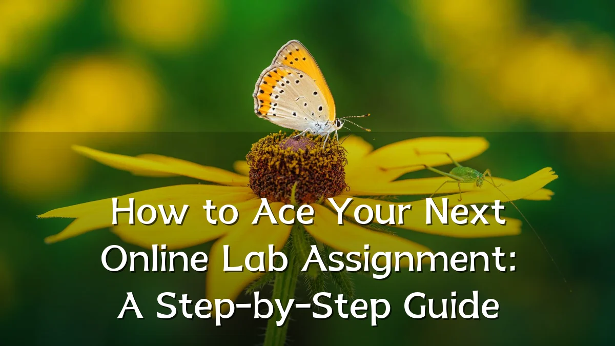 How to Ace Your Next Online Lab Assignment: A Step-by-Step Guide