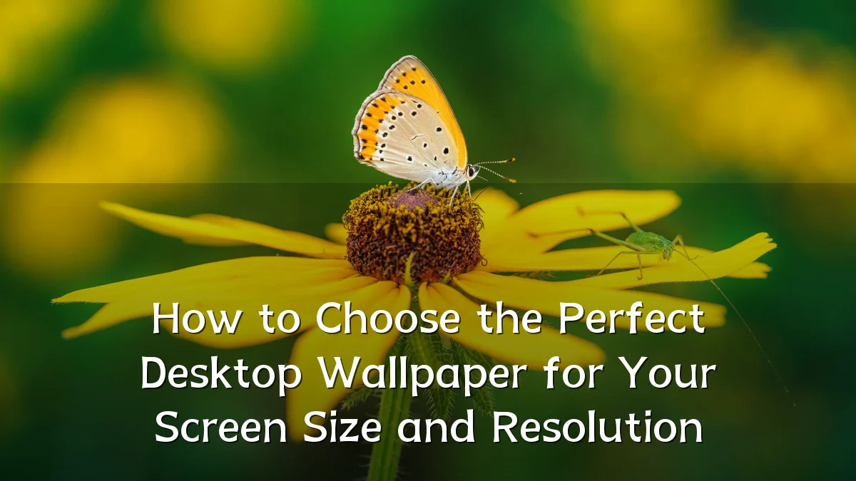 How to Choose the Perfect Desktop Wallpaper for Your Screen Size and Resolution