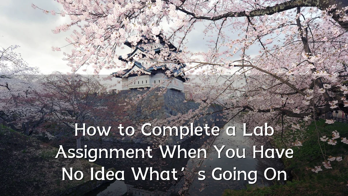How to Complete a Lab Assignment When You Have No Idea What’s Going On
