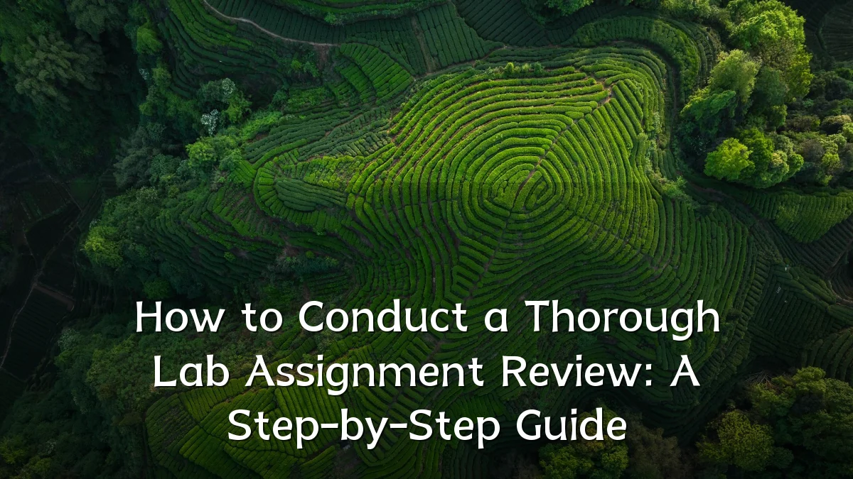 How to Conduct a Thorough Lab Assignment Review: A Step-by-Step Guide