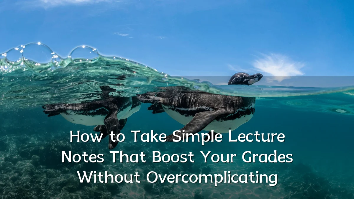 How to Take Simple Lecture Notes That Boost Your Grades Without Overcomplicating