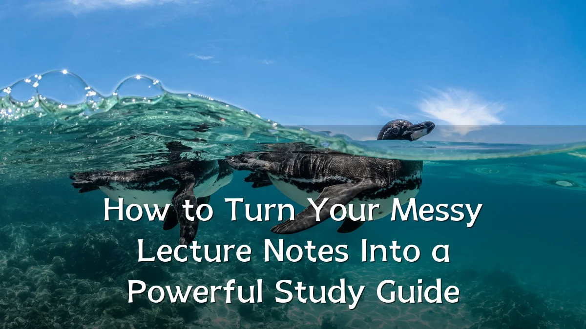 How to Turn Your Messy Lecture Notes Into a Powerful Study Guide