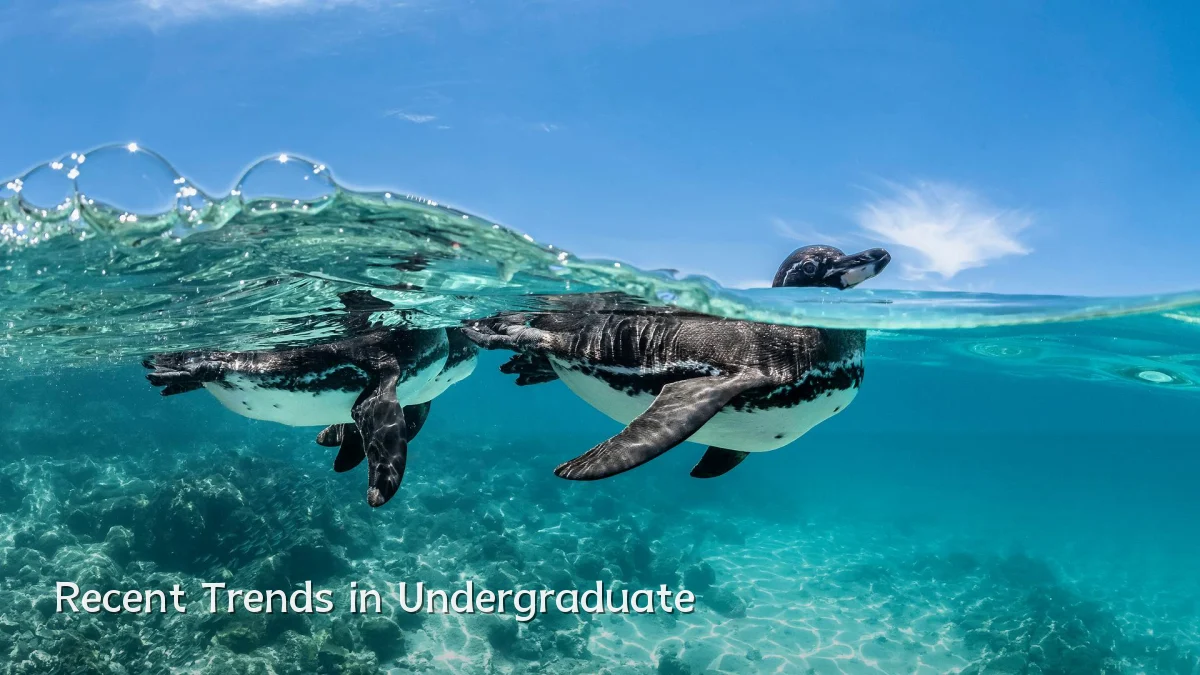 Recent Trends in Undergraduate