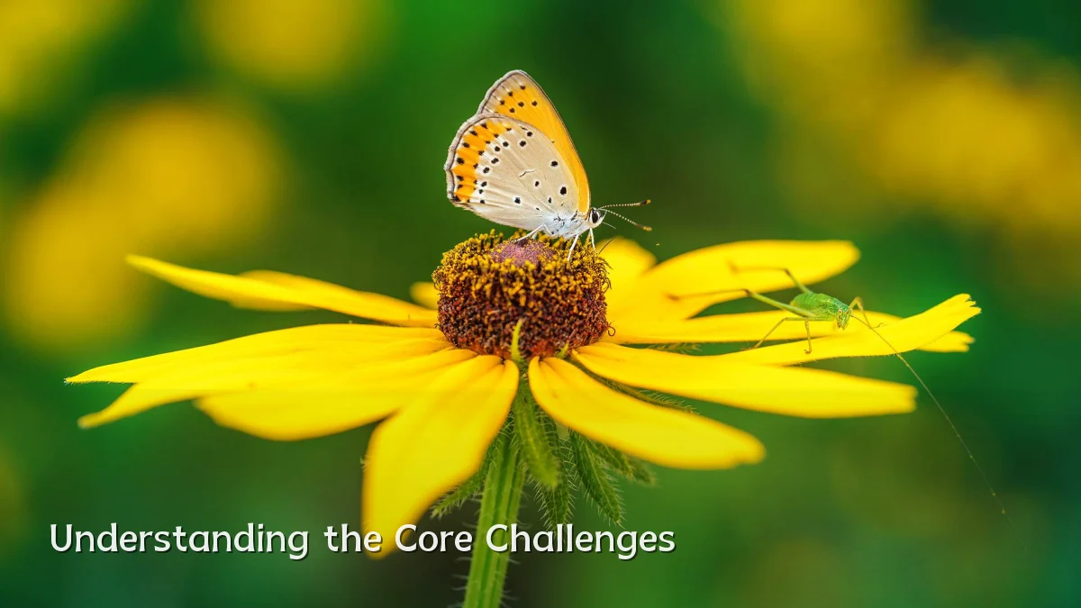 Understanding the Core Challenges