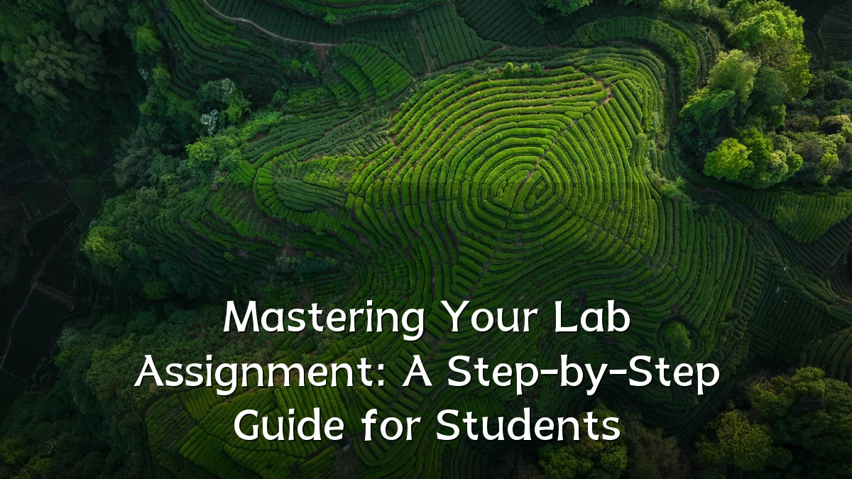 Mastering Your Lab Assignment: A Step-by-Step Guide for Students