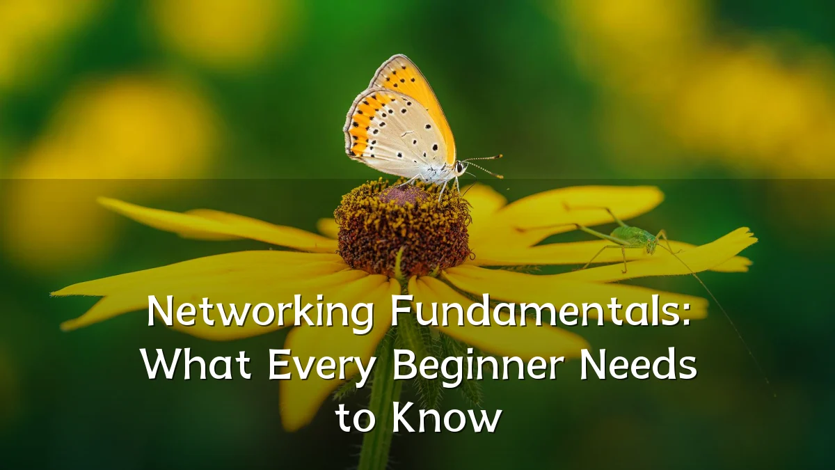 Networking Fundamentals: What Every Beginner Needs to Know