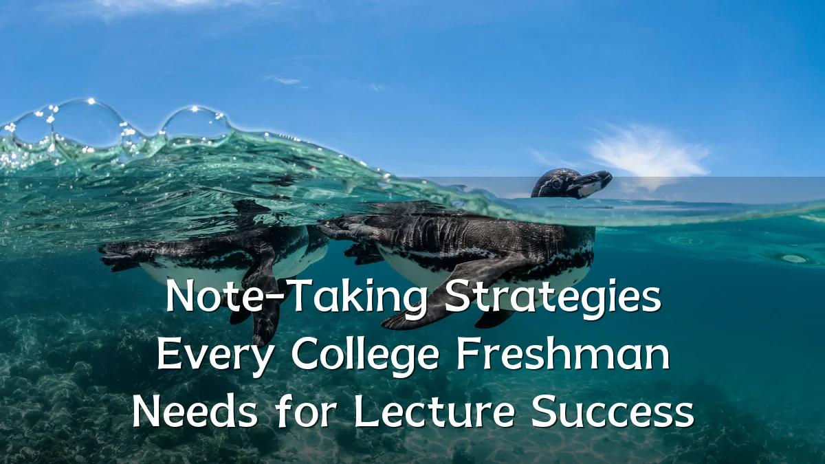 Note-Taking Strategies Every College Freshman Needs for Lecture Success