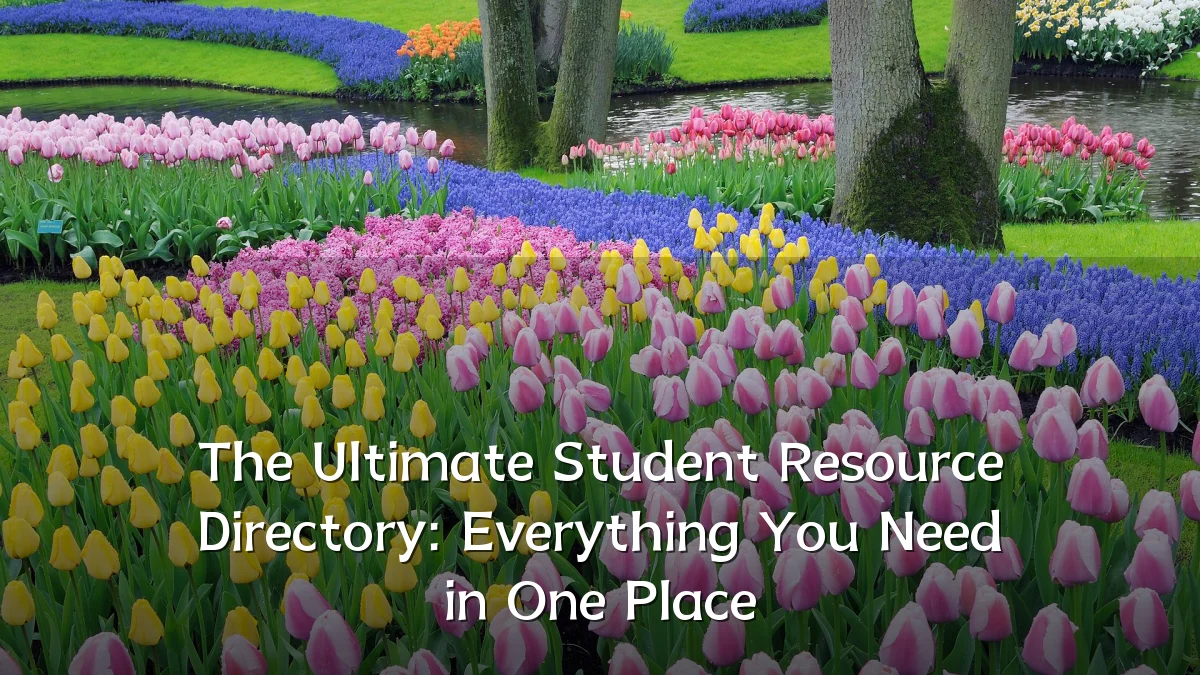 The Ultimate Student Resource Directory: Everything You Need in One Place