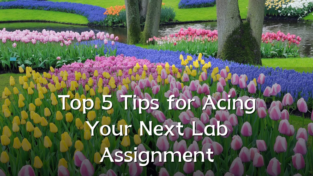 Top 5 Tips for Acing Your Next Lab Assignment