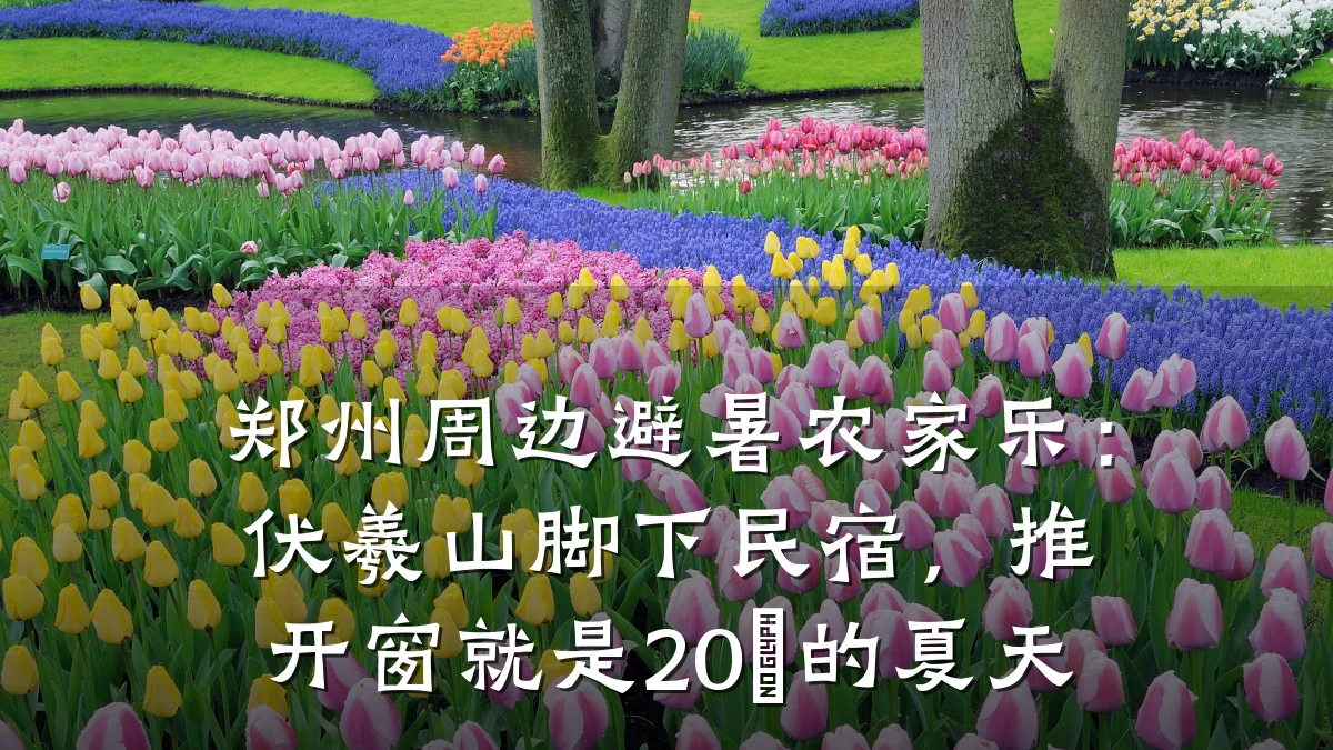 郑州周边避暑农家乐:伏羲山脚下民宿,推开窗就是20℃的夏天