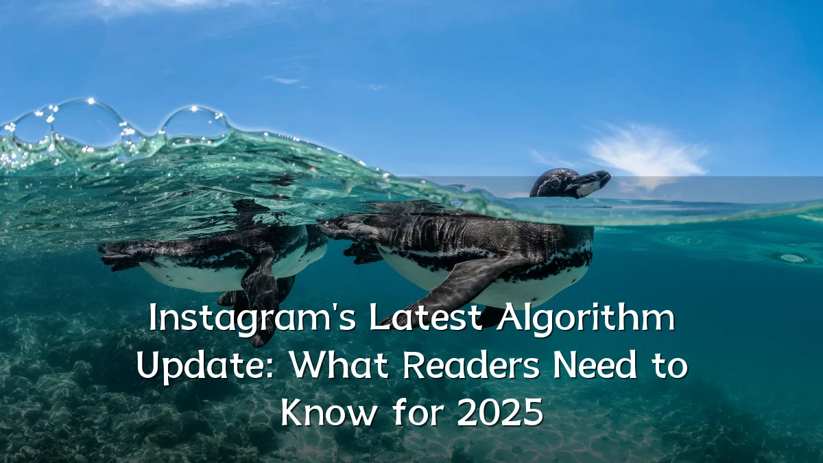 Instagram's Latest Algorithm Update: What Readers Need to Know for 2025