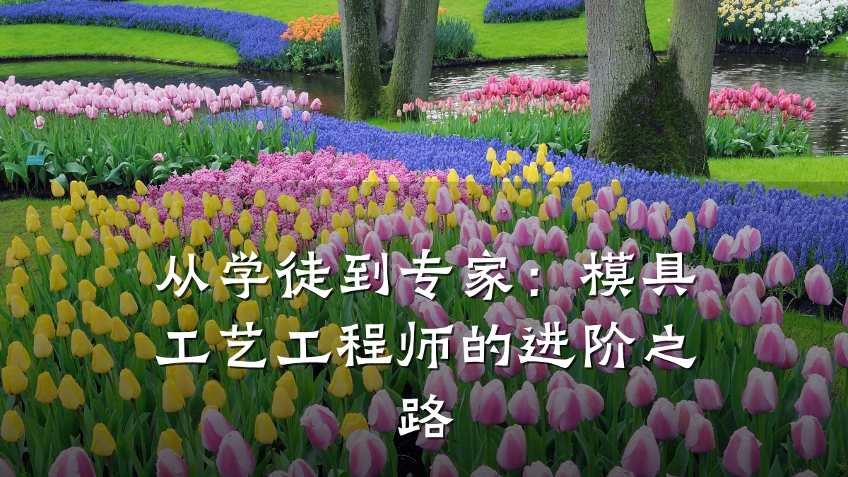 从学徒到专家：模具工艺工程师的进阶之路