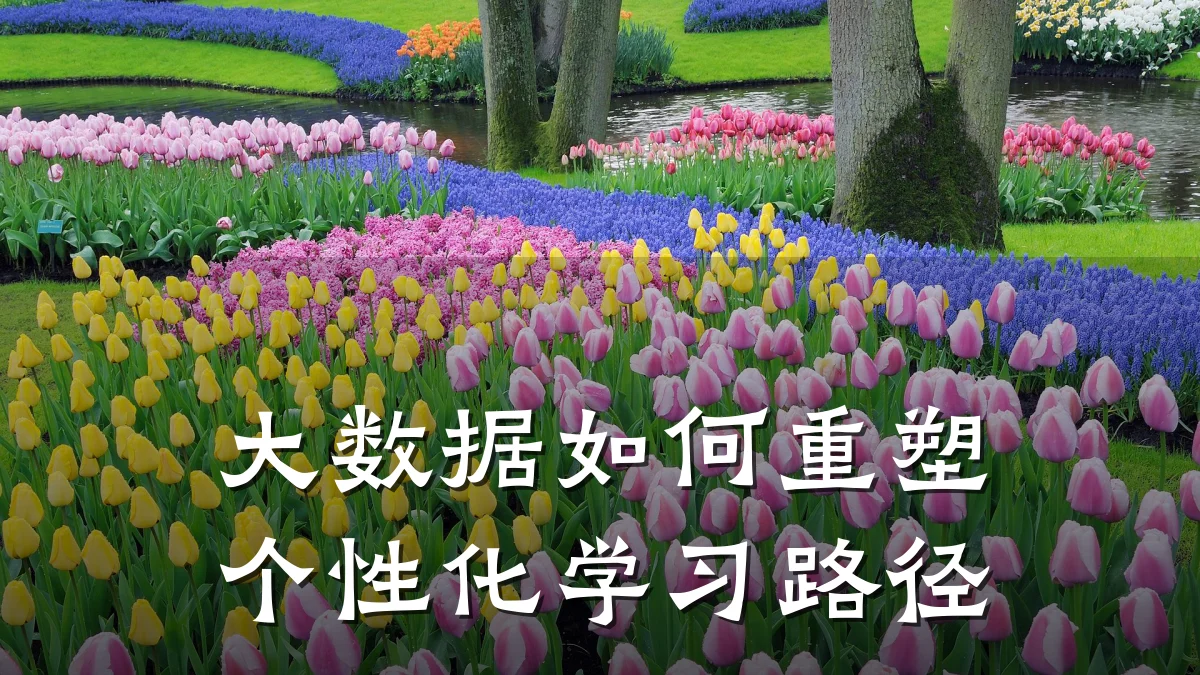 大数据如何重塑个性化学习路径