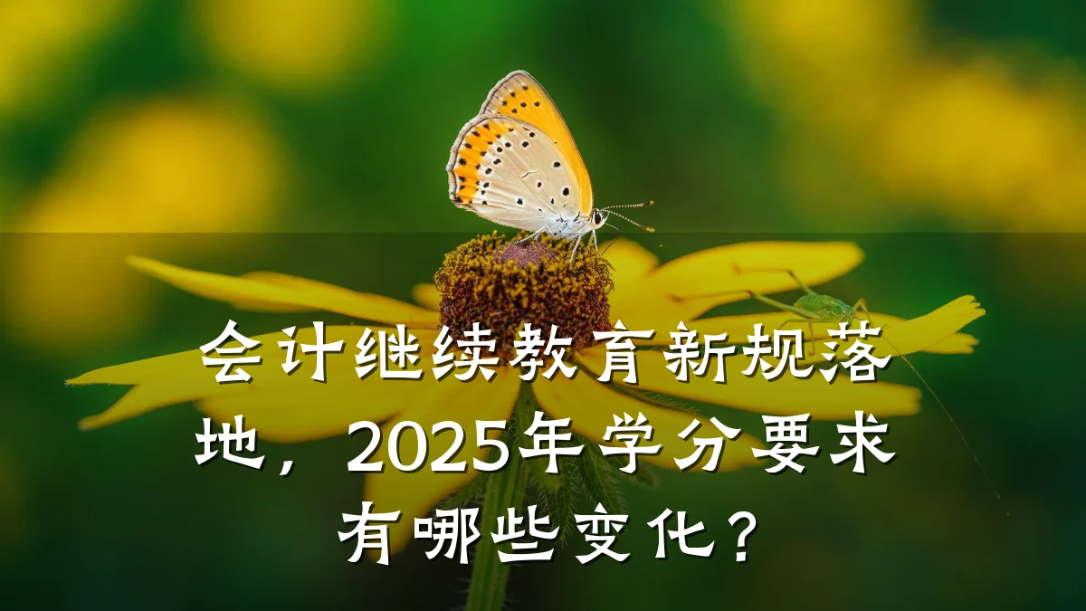 会计继续教育新规落地，2025年学分要求有哪些变化？